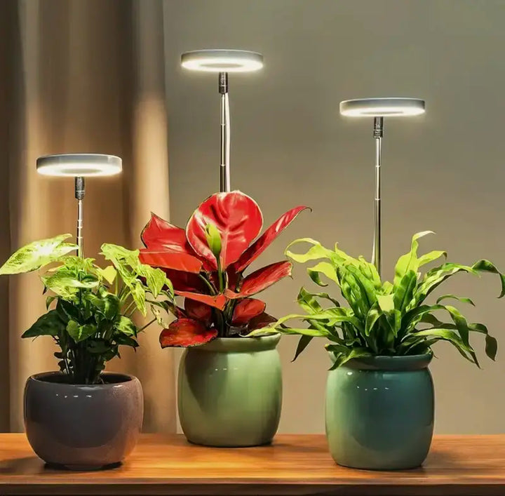 Iliana - Adjustable LED Plant Grow Light