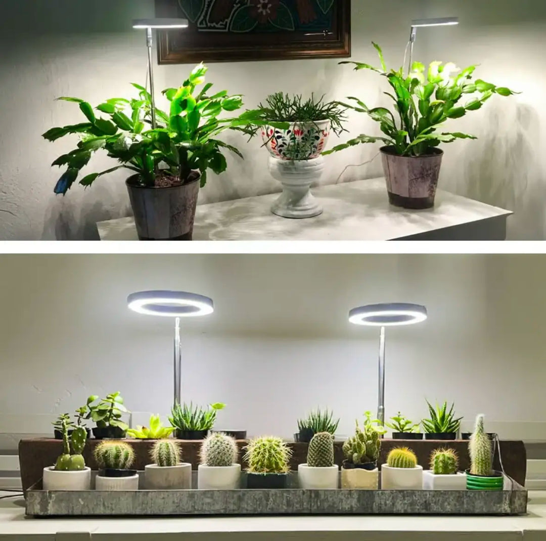 Iliana - Adjustable LED Plant Grow Light